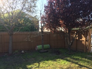 Our Backyard Makeover (Mid-Makeover)