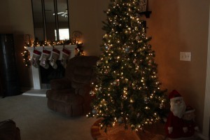 2nd Annual Girls Christmas Party and Christmas Decor 2016