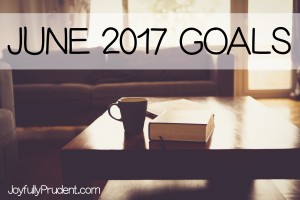 June 2017 Goals – Sneak Peek at New Products
