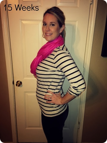 15 Weeks Pregnancy #2 Update - Joyfully Prudent