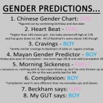 20 Weeks Pregnancy #2 Update – Boy or Girl Prediction and NAMES..kind of