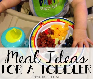 Feeding a Toddler: TONS of Meal Ideas and Recipes