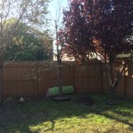Our Backyard Makeover (Mid-Makeover)