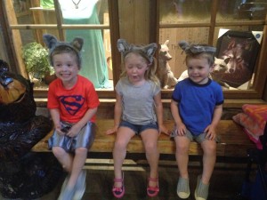 Great Wolf Lodge