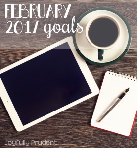 February 2017 Goals