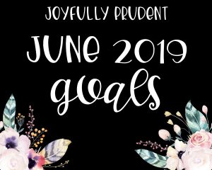 JUNE 2019 GOALS:  I did it!!!